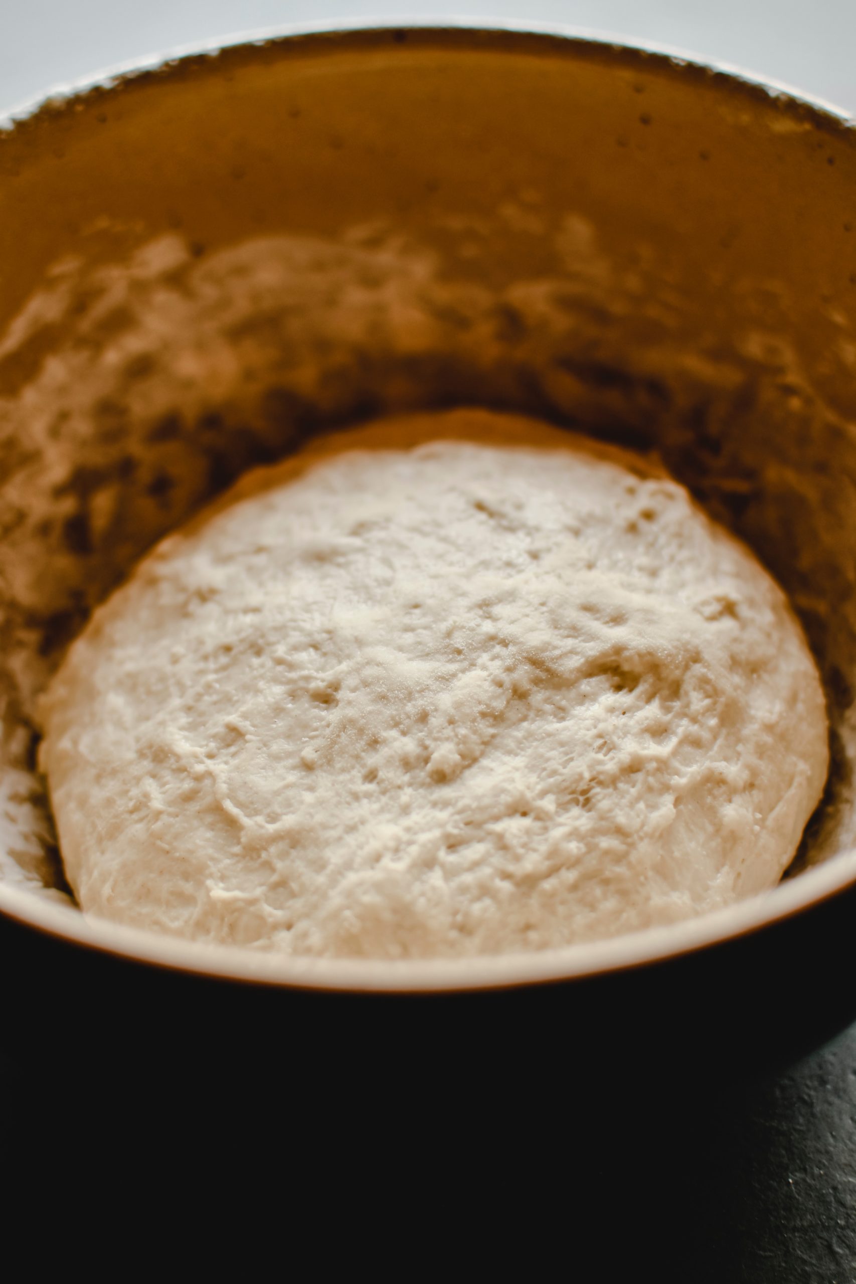 Faq Autolyse Fermentolyse The Sourdough Journey 2232