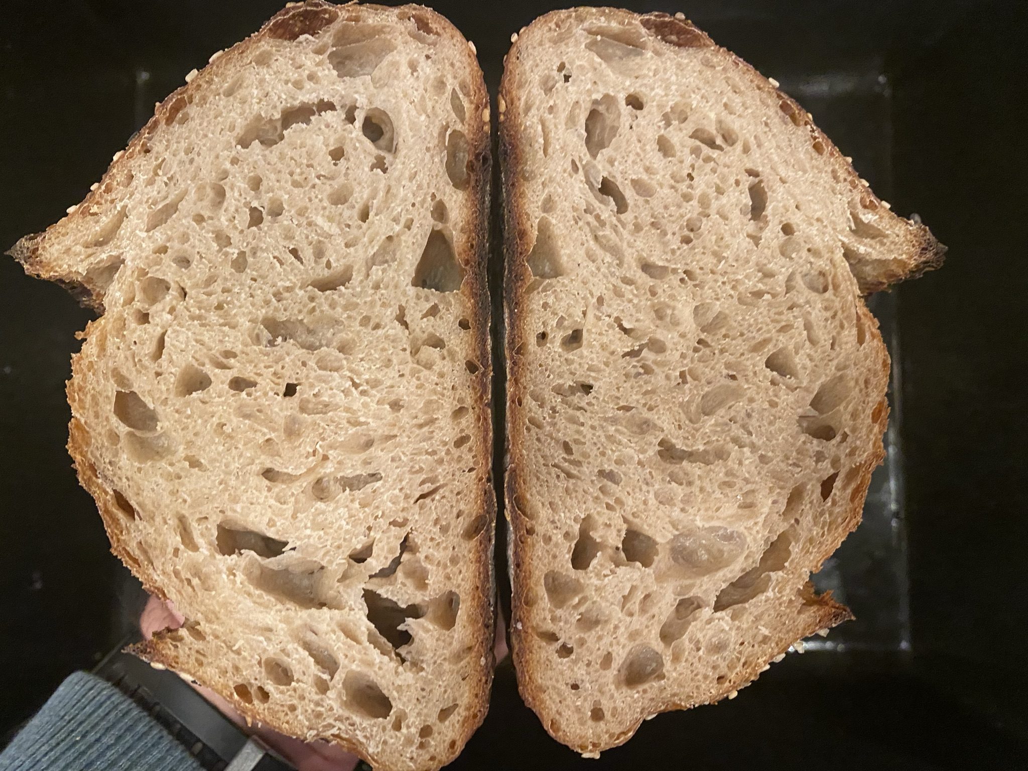 sourdough bread journey