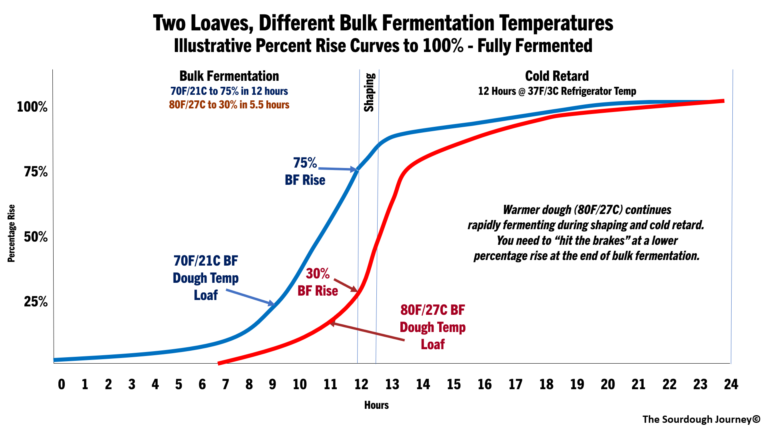 The Mystery of Percentage Rise in Bulk Fermentation