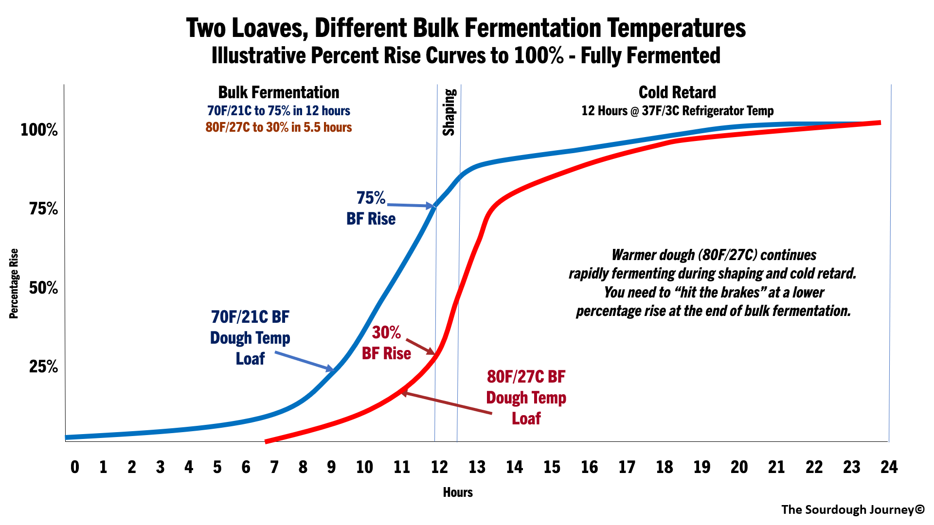 Baker's Percent, Baking Processes