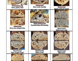 How to Read Sourdough Crumb Gallery